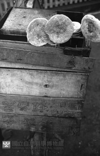 1950至2006年臺灣常民生活藏品圖，第1張