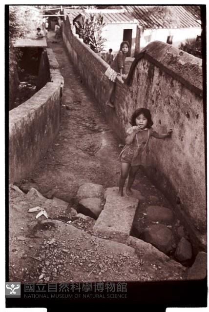 1950至2006年臺灣常民生活藏品圖，第1張