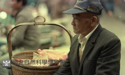 1950至2006年臺灣常民生活藏品圖，第1張