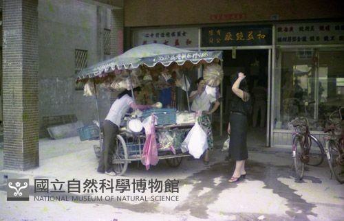 1950至2006年臺灣常民生活藏品圖，第1張