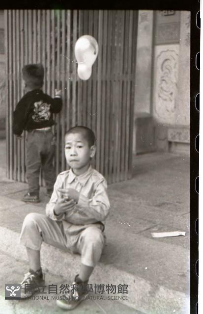 1950至2006年臺灣常民生活藏品圖，第1張