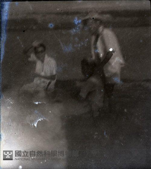 1950至2006年臺灣常民生活藏品圖，第1張