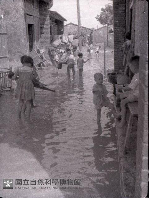 1950至2006年臺灣常民生活藏品圖，第1張