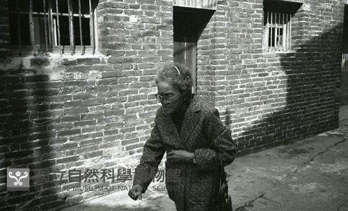 1950至2006年臺灣常民生活藏品圖，第1張