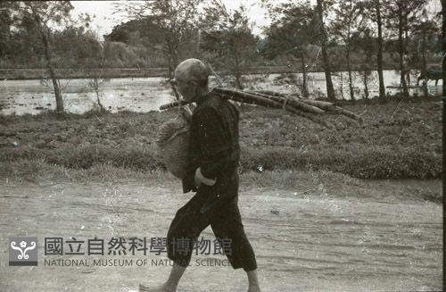 1950至2006年臺灣常民生活藏品圖，第1張