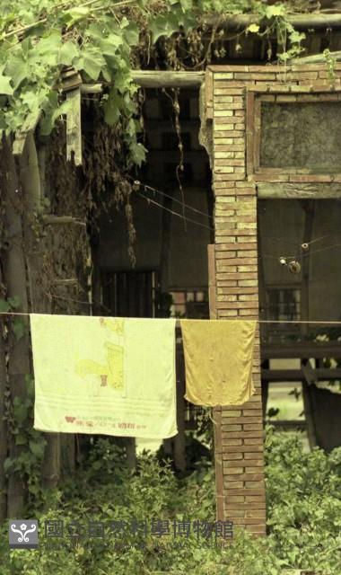 1950至2006年臺灣常民生活藏品圖，第1張