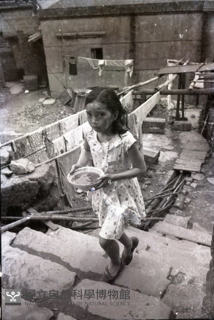 1950至2006年臺灣常民生活藏品圖，第1張