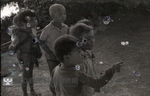 1950至2006年臺灣常民生活藏品圖，第1張