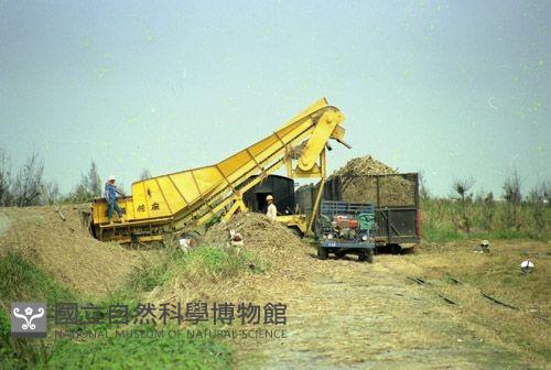 1950至2006年臺灣常民生活藏品圖，第1張
