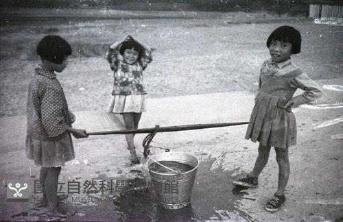 1950至2006年臺灣常民生活藏品圖，第1張