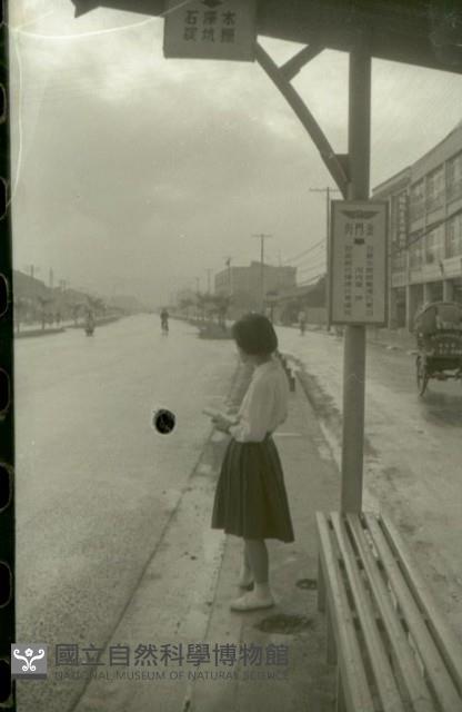1950至2006年台灣常民生活藏品圖，第1張