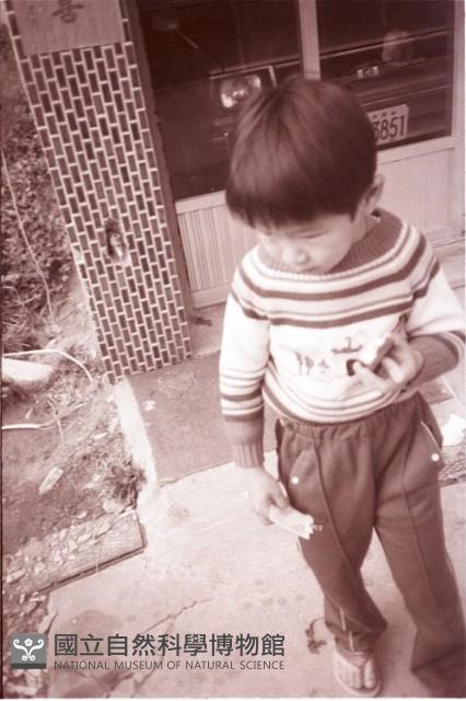 1950至2006年臺灣常民生活藏品圖，第1張