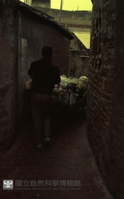 1950至2006年臺灣常民生活藏品圖，第1張