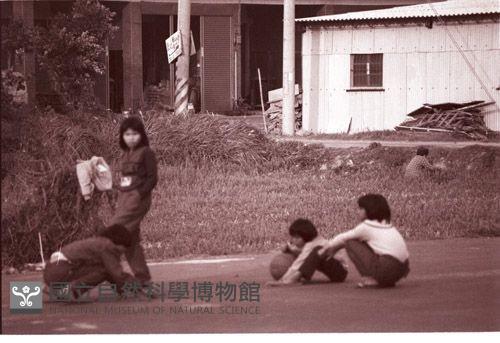 1950至2006年臺灣常民生活藏品圖，第1張