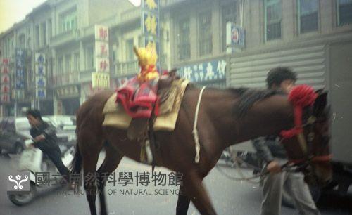 1950至2006年臺灣常民生活藏品圖，第1張