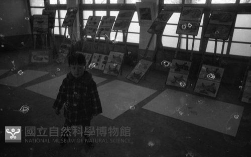 1950至2006年臺灣常民生活藏品圖，第1張