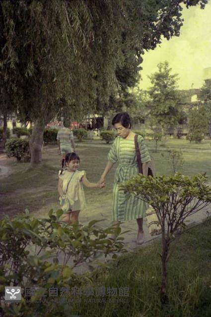 1950至2006年臺灣常民生活藏品圖，第1張