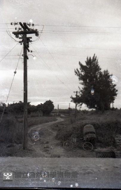 1950至2006年臺灣常民生活藏品圖，第1張