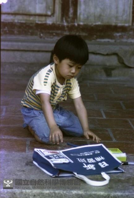 1950至2006年臺灣常民生活藏品圖，第1張