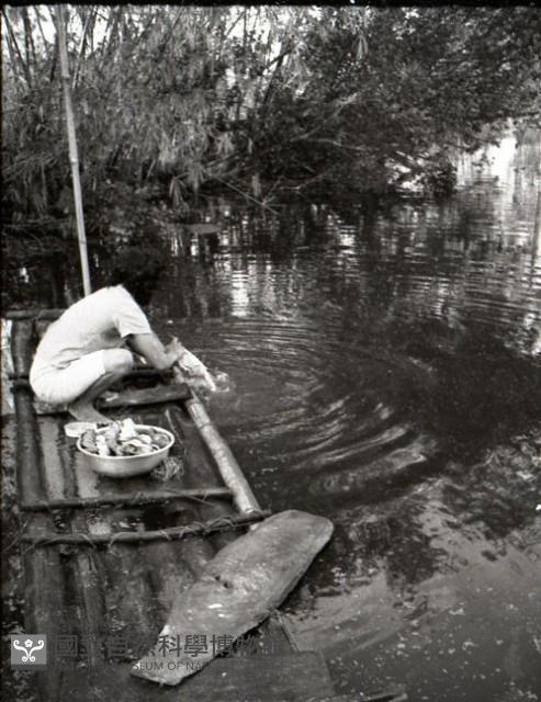 1950至2006年台灣常民生活藏品圖，第1張
