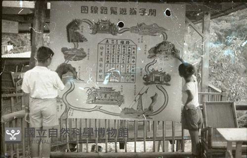 1950至2006年臺灣常民生活藏品圖，第1張