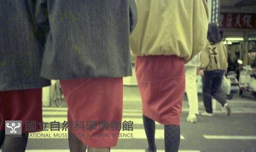 1950至2006年臺灣常民生活藏品圖，第1張