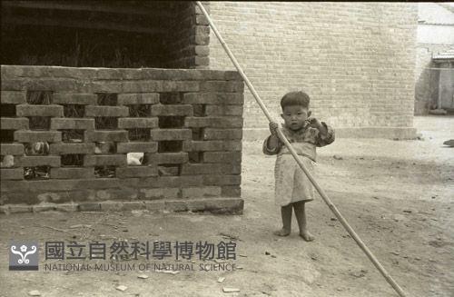 1950至2006年臺灣常民生活藏品圖，第1張