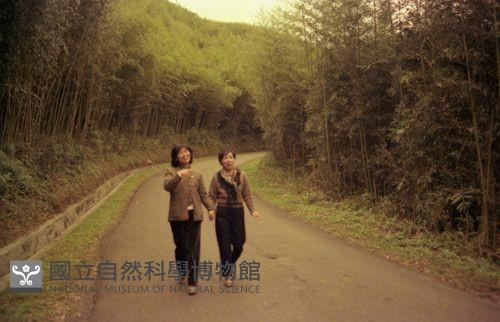 1950至2006年臺灣常民生活藏品圖，第1張