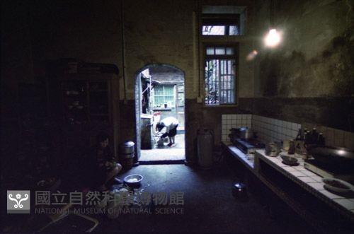 Accession Number:MP2007005344 Collection Image