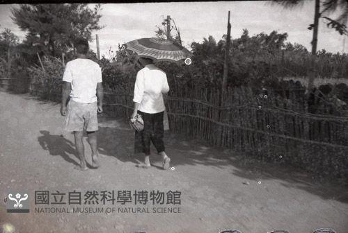 1950至2006年臺灣常民生活藏品圖，第1張