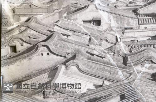 1950至2006年台灣常民生活(No:149 黑)藏品圖，第1張