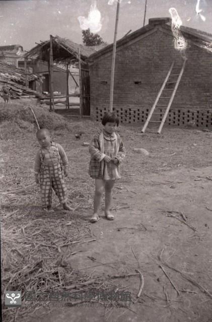 1950至2006年臺灣常民生活藏品圖，第1張