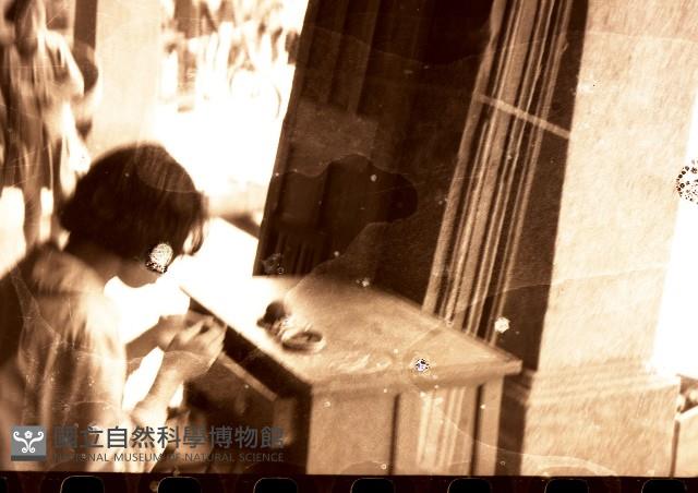 1950至2006年臺灣常民生活藏品圖，第1張