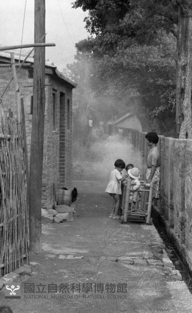 1950至2006年臺灣常民生活藏品圖，第1張