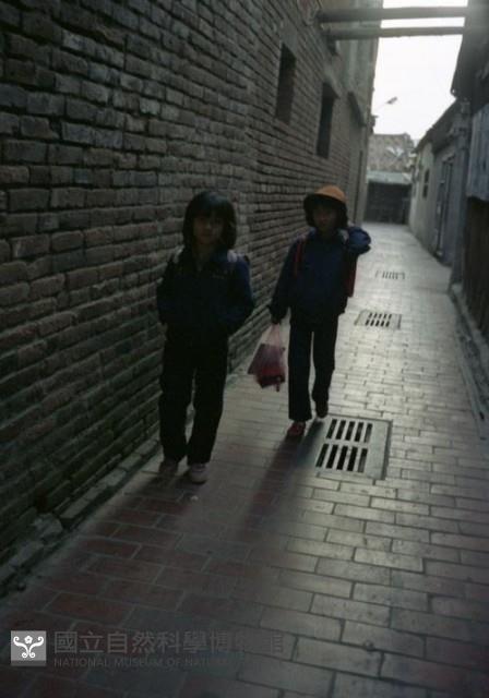 1950至2006年臺灣常民生活藏品圖，第1張