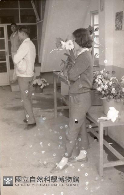1950至2006年臺灣常民生活藏品圖，第1張