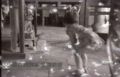 1950至2006年臺灣常民生活藏品圖，第1張