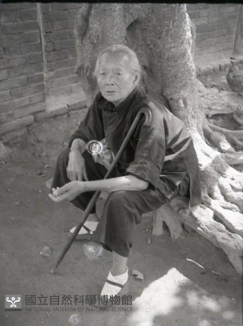 1950至2006年台灣常民生活藏品圖，第1張