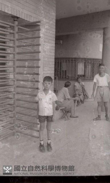 1950至2006年臺灣常民生活藏品圖，第1張