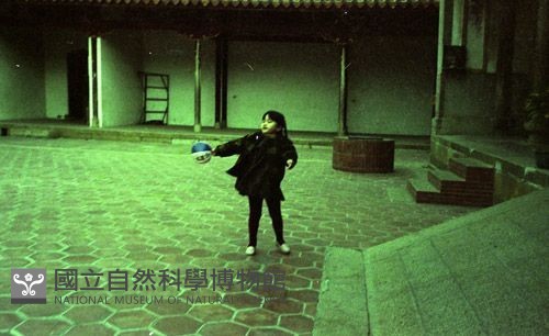 1950至2006年臺灣常民生活藏品圖，第1張