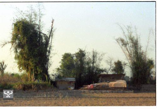 1950至2006年臺灣常民生活藏品圖，第1張