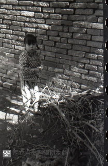 1950至2006年臺灣常民生活藏品圖，第1張