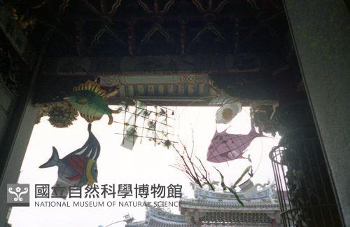 1950至2006年臺灣常民生活藏品圖，第1張