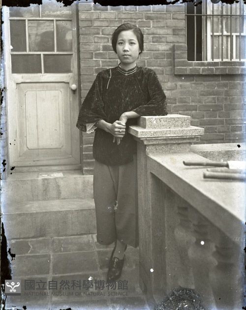 許蒼澤母親 許黃十一（1950至2006年臺灣常民生活）藏品圖，第1張