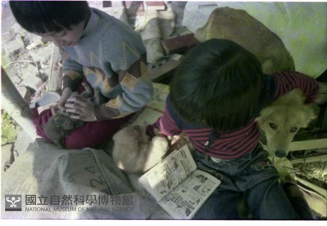 1950至2006年臺灣常民生活藏品圖，第1張
