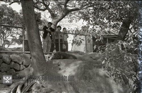 1950至2006年臺灣常民生活藏品圖，第1張