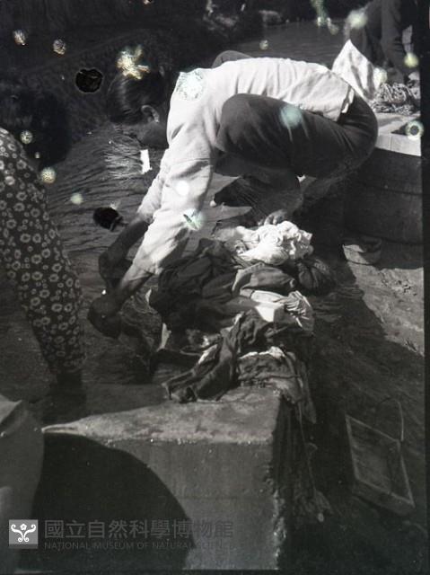 1950至2006年臺灣常民生活藏品圖，第1張
