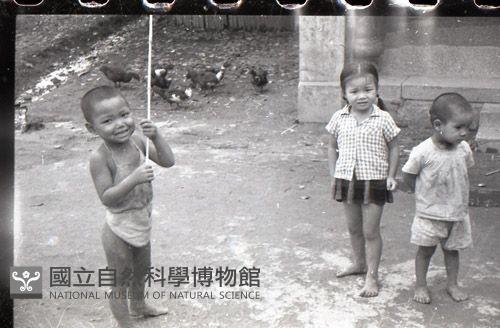 1950至2006年臺灣常民生活藏品圖，第1張