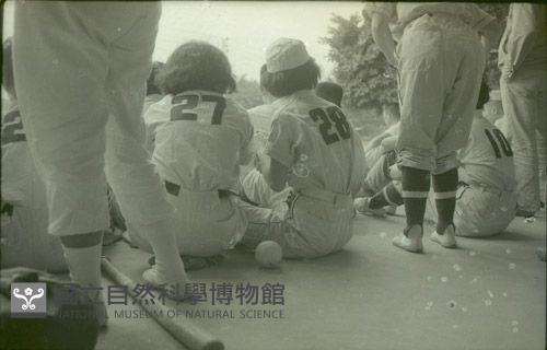 1950至2006年臺灣常民生活藏品圖，第1張