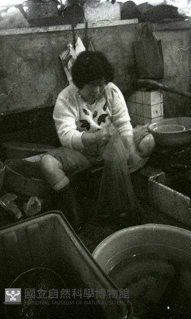 1950至2006年臺灣常民生活藏品圖，第1張